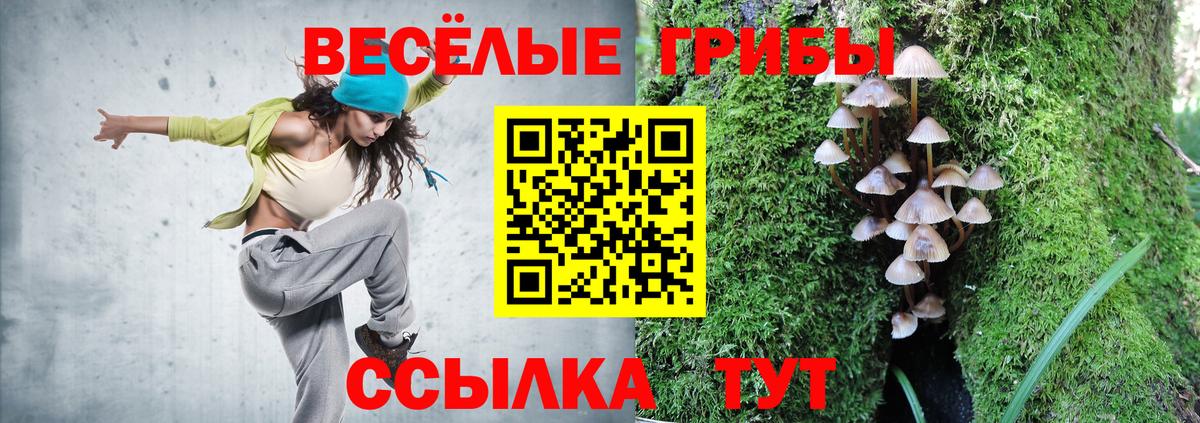 Алушта  Псилоцибиновые грибы ЛСД  Вход с VPN 